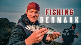 Fishing in Denmark. Mackerel everywhere! (Djursland, Limfjord, Hvide Sande)