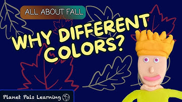 🍂 Why Different Fall Colors? | All About Autumn Colours! | Fun & Educational Video For Kids!