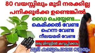 100%Natural Hair Dye പനകകർകക ഉണടങകൽ 2 മനടടൽ നരചചമട കടടകകറപപകക