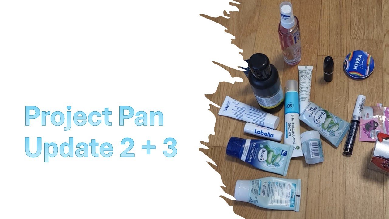 Project Pan Update #2 and #3