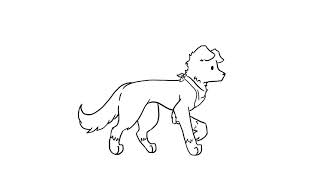 Animation dump 2020