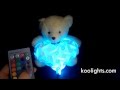 Teddy with Heart using LED with remote control