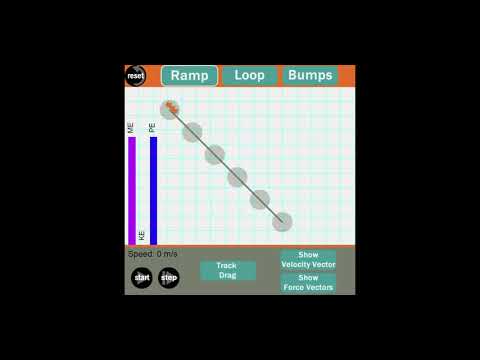 Physics Simulation: Roller Coaster Model