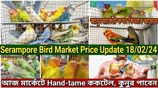 Serampore Bird Market Price Update । শ্রীরামপুর পশুপাখির হাট।Shrirampur Market Location #serampore
