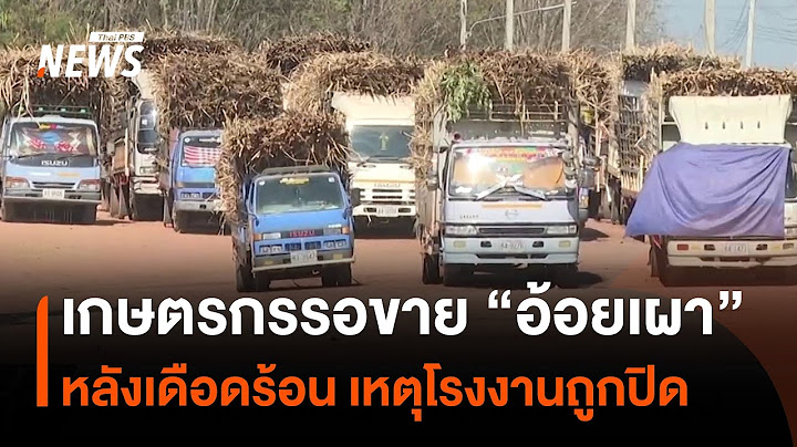 เกษตรกรเดือดร้อนหลังโรงงานถูกปิด เหตุรับซื้อ "อ้อยไฟไหม้" เกินกำหนด | Thai PBS News