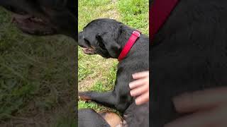 Betty The Belly Rub Queen 7-23-20