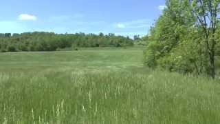 88 Acre Farm For Sale, Blair County, PA, Views of the Land