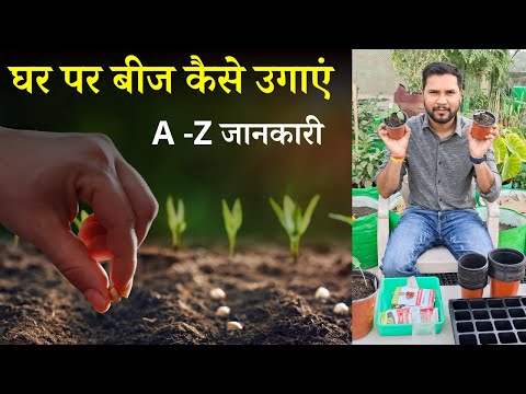 बीज कैसे उगाएं घर पर | Seed Germination Process In Hindi | How To