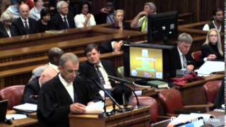 Witness feared Oscar Pistorius might kill himself after shooting girlfriend