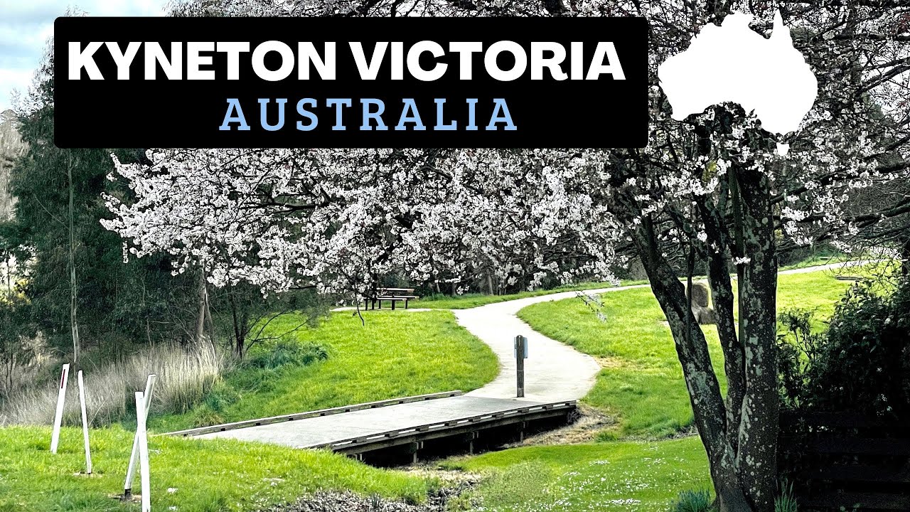 El mejor pie Australiano lo encuentran aquí 🥧/ Victoria YouTube