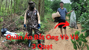 Quần Áo Bắt Ong Vò Vẽ Gấu Trúc 3 Quạt Mẫu Mới Nhất 2022