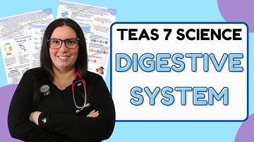 2025 ATI TEAS 7 Science Anatomy and Physiology Gastrointestinal System with Nurse Cheung