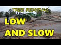 Ep. 53 - Tree Cleanup and Removal at Blackacre Ranch