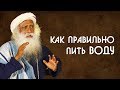 Как правильно пить воду и сколько нужно потреблять воды? Садхгуру на Русском