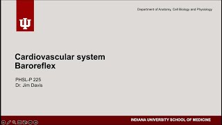 PHSL-P 225 - Cardiovascular system - Baroreflex