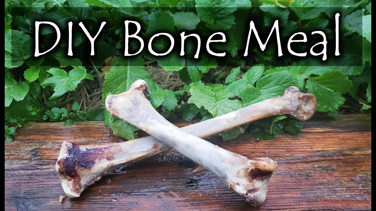 How To Make Bone Meal - YouTube
