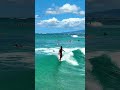 YouTube loves a quick session in Waikiki #surf #surfing #longboard #shorts