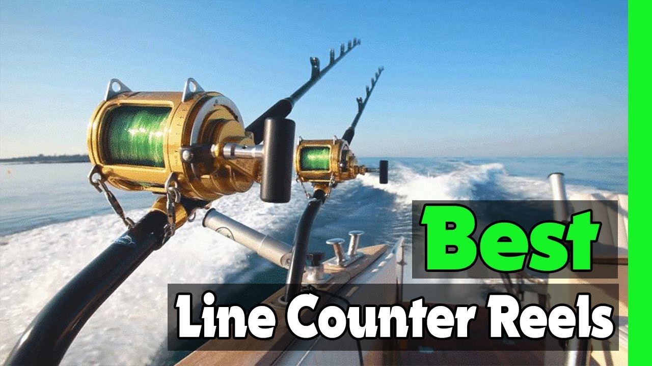 Top 5: Best Line Counter Reels In 2023 [  Line Counter Reels Reviews  ] 