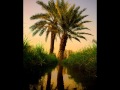 السيده شوقيه العطار كل الاغاني انتهت