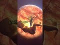 SPHEREx - New Telescope Revolutionizes Cosmic Discovery!