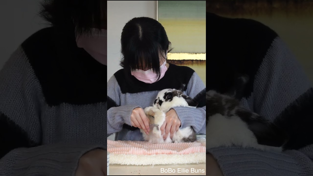 Calmest bunny ever | Spa day 🐰😉