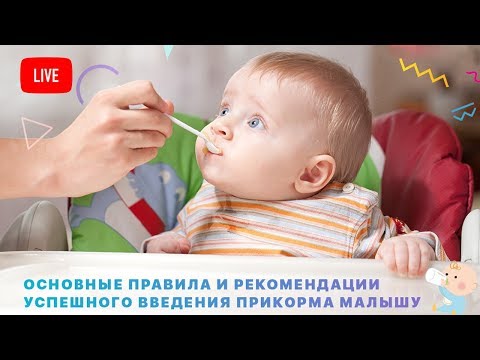 Основные правила и рекомендации успешного введения 🍼 прикорма малышу
