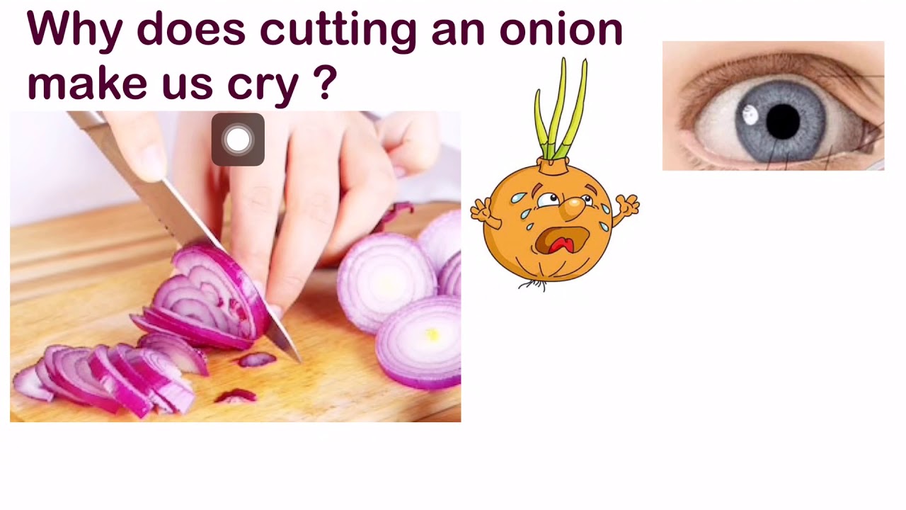 How Long Does It Take To Grow A Onion Why Was The Conflict Called The how-long-does-it-take-to-grow-a-onion-why-was-the-conflict-called-the