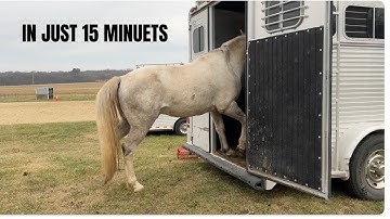 How to Teach Trailer Loading in 15 minutes