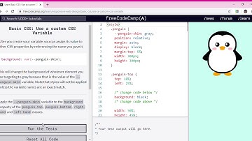 Learn Basic CSS  Use a custom CSS Variable   freeCodeCamp org   Google Chrome 2019 12 05 11 48 31