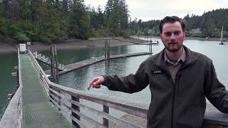 Escape to Jarrell Cove State Park | Harstine Island, WA