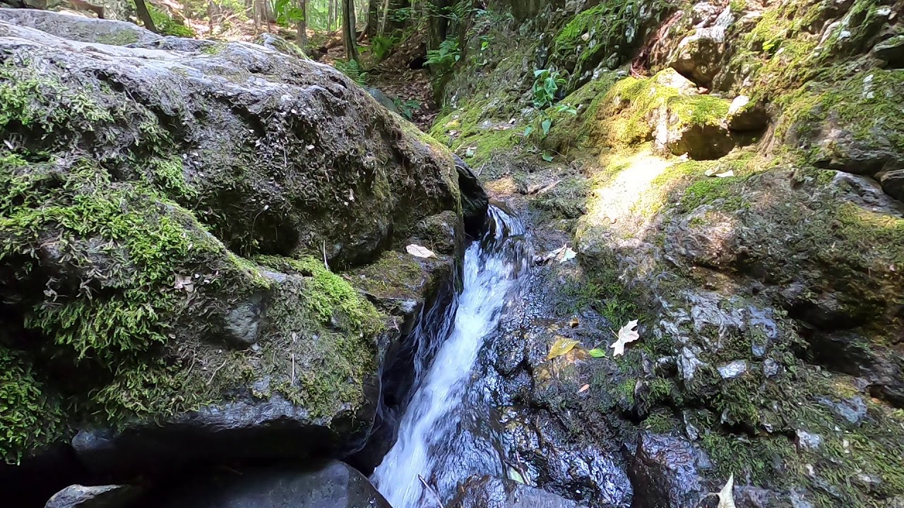 Moment of Zen- Ciaiola Preserve