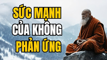 Sức Mạnh Của Việc Không Phản Ứng - Cách Kiểm Soát Cảm Xúc Của Bạn | Một Câu Chuyện Phật Giáo