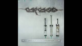 CARCASS - UNFIT FOR HUMAN CONSUMPTION