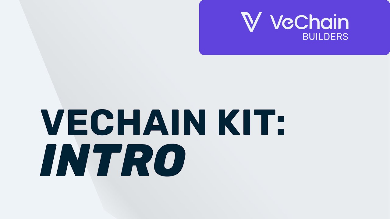 Getting Started with VeChain Kit: Intro & Environment Setup # ...