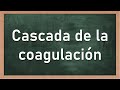 🔴 CASCADA DE LA COAGULACIÓN | EXPLICACIÓN PASO A PASO