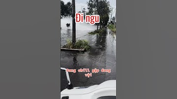 Vội ăn chuối cả nải