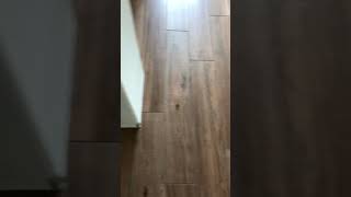 Salvatore And Gregs Day Job 6