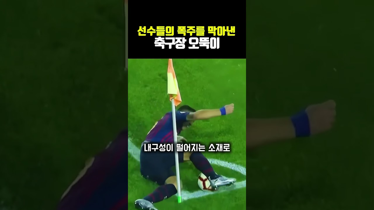 선수들의 폭주를 막아낸 축구장 오뚝이