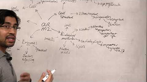 OCR biology module 2 overview