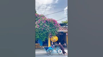 Hội An Mystery thu nhỏ đã xuất hiện tại Hóc Môn #khamphahocmon #hocmon