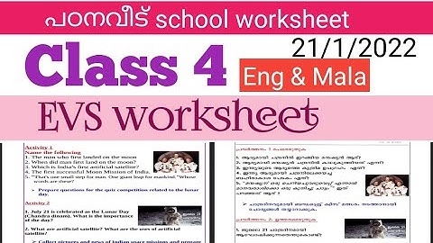Class 4 EVS School worksheet 21/1/2022