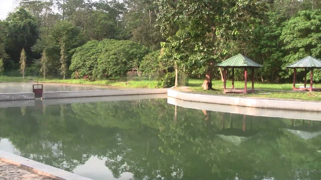 kolam