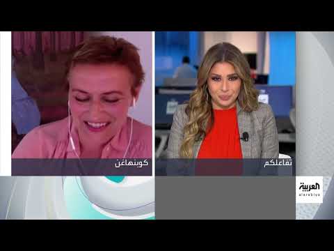 فنانة دنماركية تكشف سرقة لوحاتها في برنامج مصري