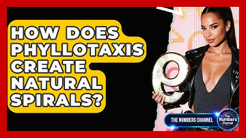 How Does Phyllotaxis Create Natural Spirals? - The Numbers Channel