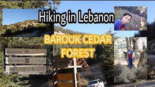 Hiking in LEBANON AT Barouk Cedar Forest