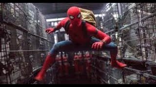 Call Me Spider Man - Suit Up Scene - Stan Lee Cameo  (Spider Man  Homecoming 2017) Movie CLIP HD