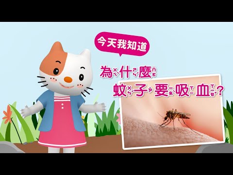 【生活小知識】哇~我被蚊子叮了!為什麼蚊子要吸血呢?|小行星樂樂TV
