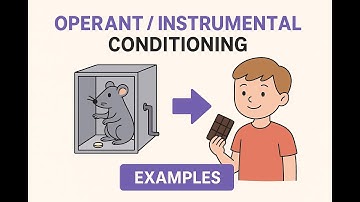 Operant Conditioning | Class 11 Psychology Chapter 6 | Explained with Examples | Learning