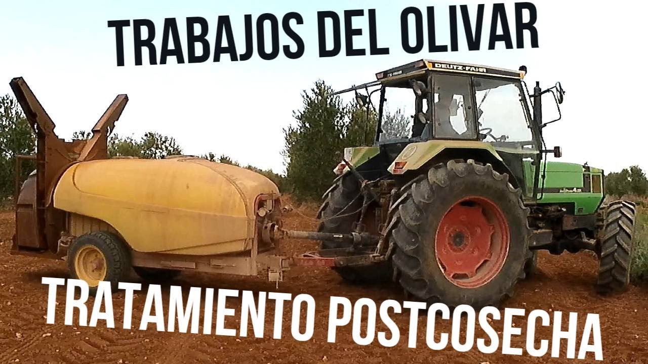 TRATAMIENTO POSTCOSECHA DEL OLIVAR