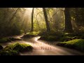 Healing Flute: Aura Cleansing Morning Music. Positive energy &amp; Harmony Inner Peace 432 Hz